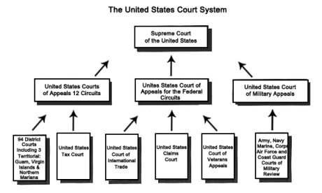 sample of court strucure flow chart similar to one found in the textbook