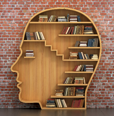 Image of head shaped book shelf.