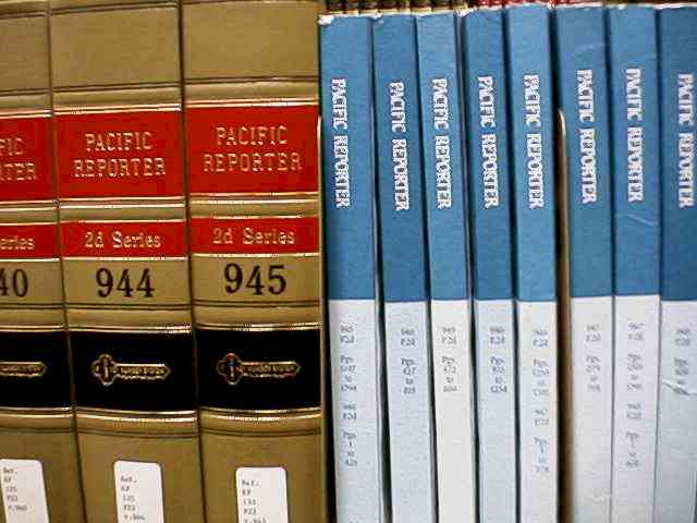 AdvanceSheet.jpg (30751 bytes)